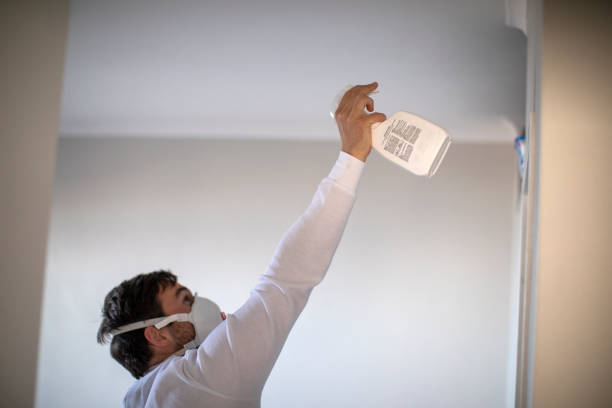 Best Fast Mold Removal  in Salmon, ID